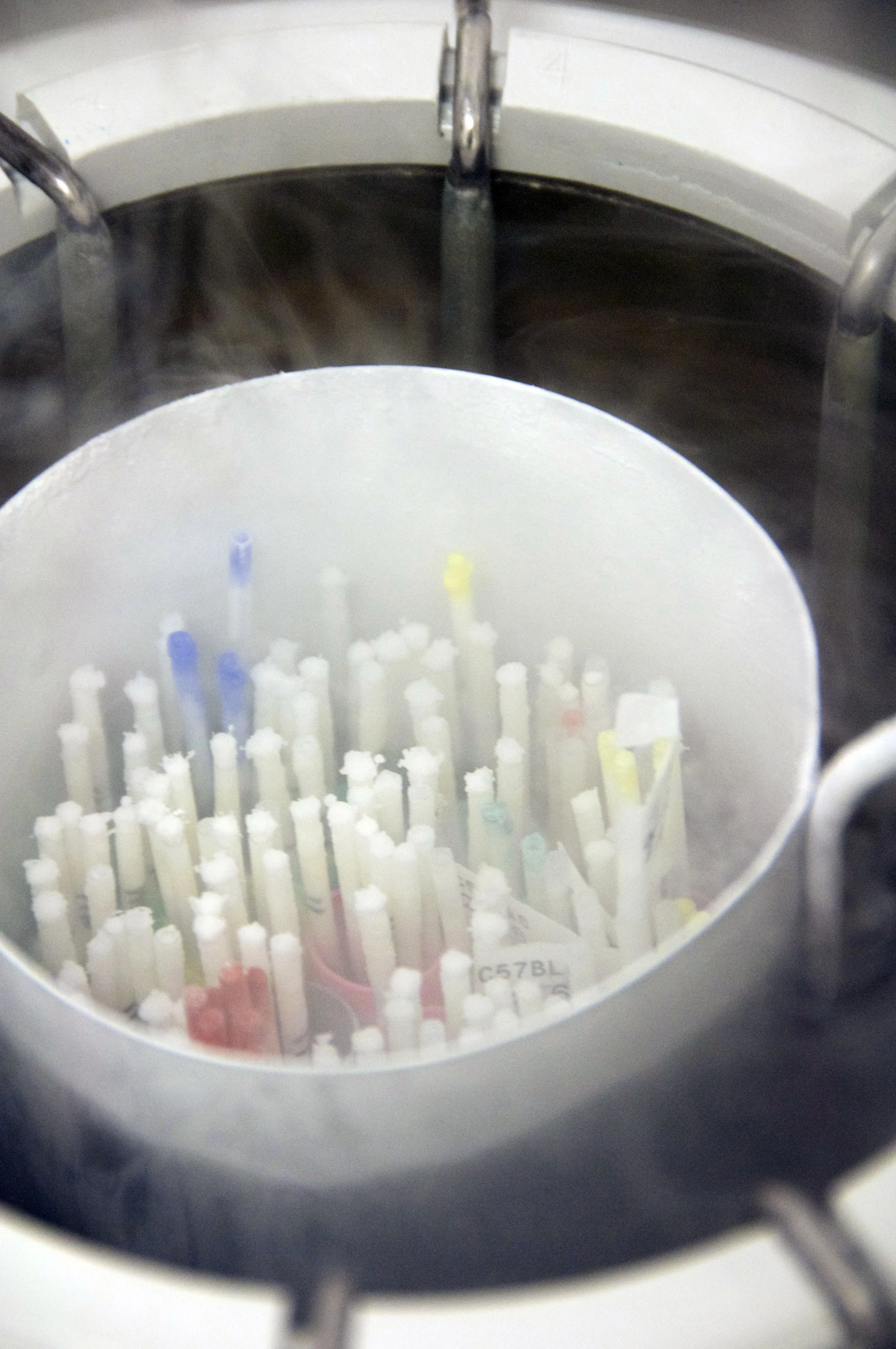 Cryopreservation unit