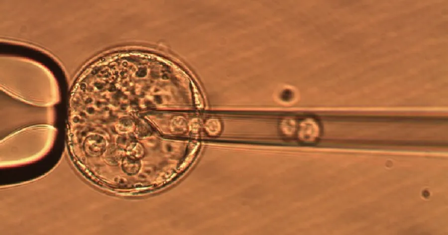Embryonic Stem Cell Injection