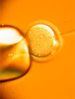 Image of rat cell microinjection